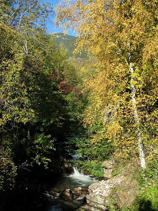 VALDEBLORE-LA BOLLINE