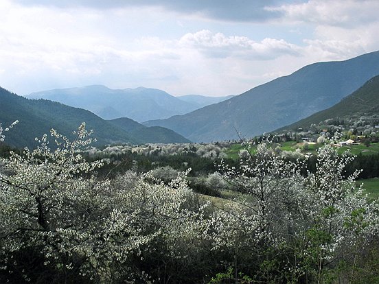 VALDEBLORE-SAINT DALMAS