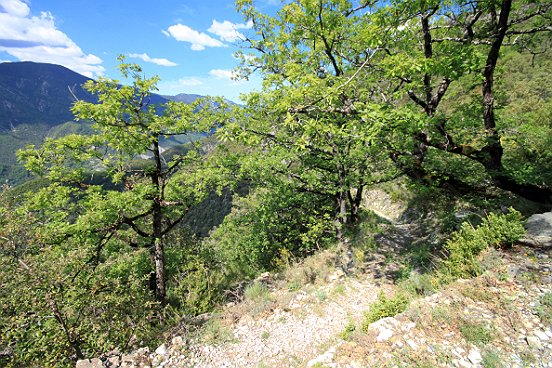 VILLARS SUR VAR, CHAPELLE SAINT JEAN DU DESERT