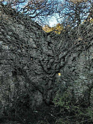 CHATEAUNEUF-VILLEVIEILLE