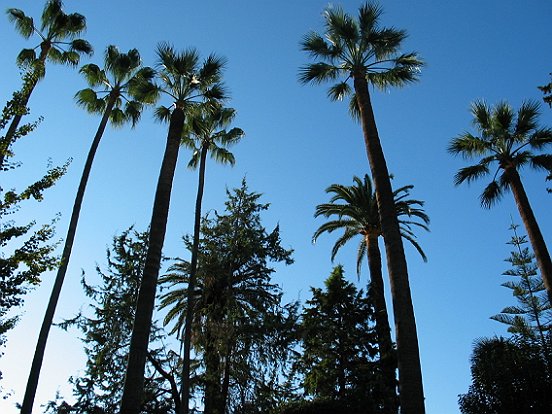 LE JARDIN ALSACE LORRAINE