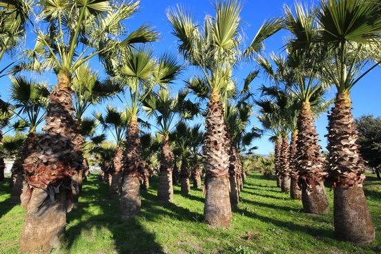 NICE,LE PARC DE L'ECO-VALLEE