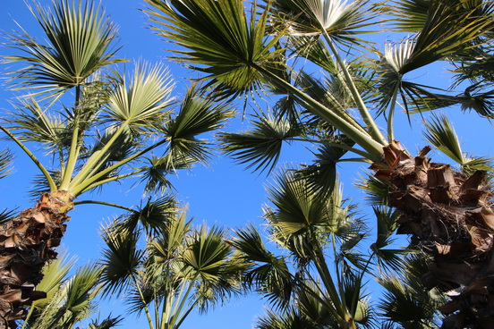 NICE,LE PARC DE L'ECO-VALLEE