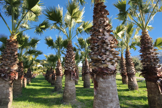 NICE,LE PARC DE L'ECO-VALLEE