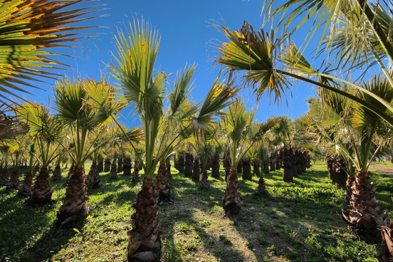 NICE,LE PARC DE L'ECO-VALLEE