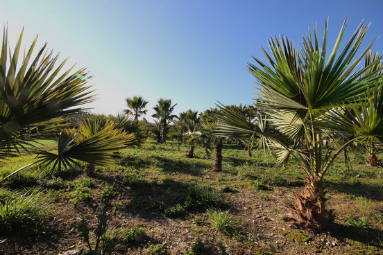 NICE,LE PARC DE L'ECO-VALLEE