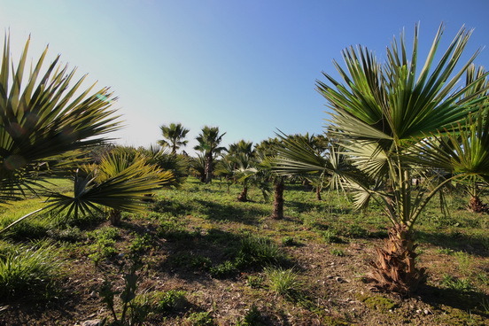 NICE,LE PARC DE L'ECO-VALLEE