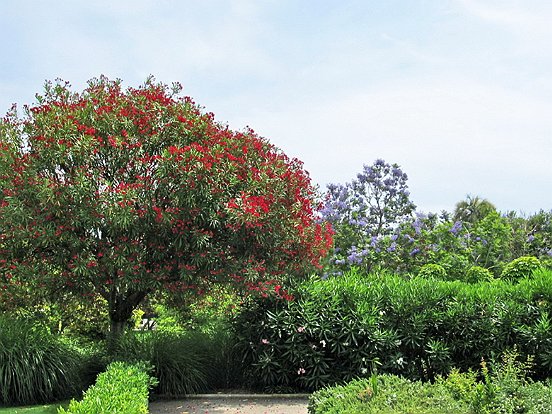 LE PARC PHŒNIX