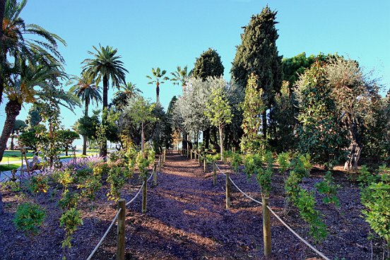NICE,LA PROMENADE DU PAILLON