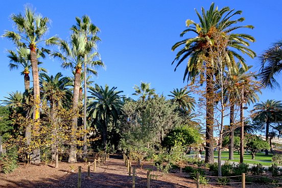 NICE,LA PROMENADE DU PAILLON