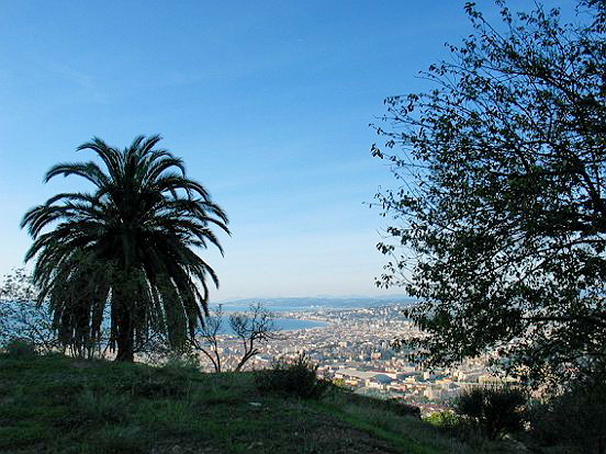 LE PARC DU VINAIGRIER