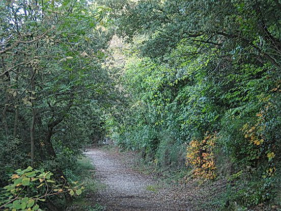 LE PARC DU VINAIGRIER