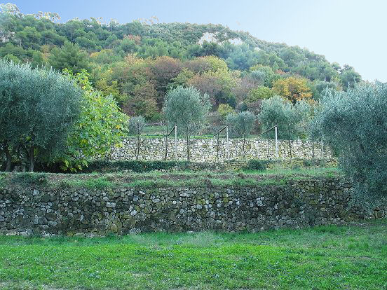 LE PARC DU VINAIGRIER