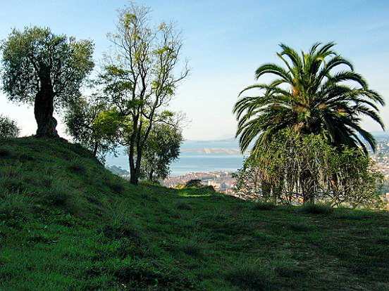 LE PARC DU VINAIGRIER