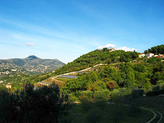 LE PARC DU VINAIGRIER