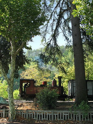 LE TRAIN HISTORIQUE A VAPEUR DES C.P.