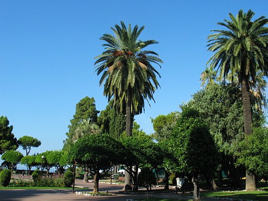 LE VIEUX-NICE