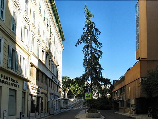 LE VIEUX-NICE