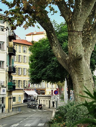 LE VIEUX-NICE