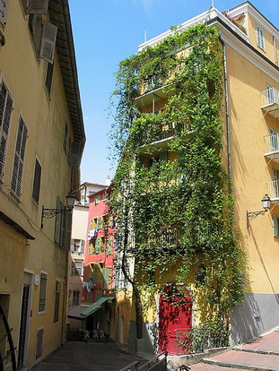 LE VIEUX-NICE